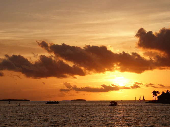 MIA_2023-08-12 19-55-01_RX_06033